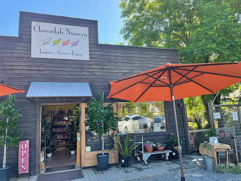 wonderful flower shop
