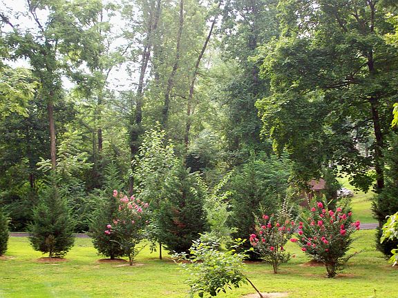 Spring blloms line the bottom of the property