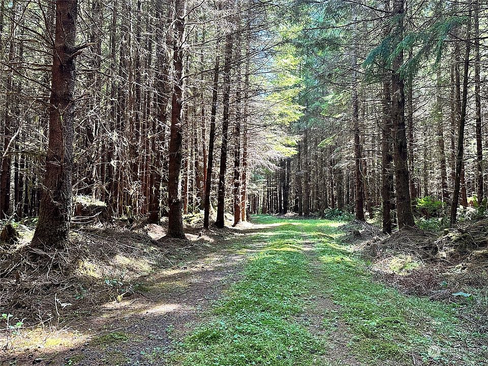 0 American Mill Road, Cosmopolis, WA 98537 MLS 2154885 Zillow