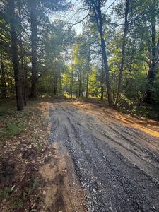Michael Dr, Alger, MI, 48610