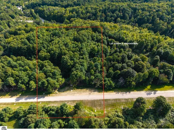LOT 3 E Bellinger Rd, Cedar, MI 49621