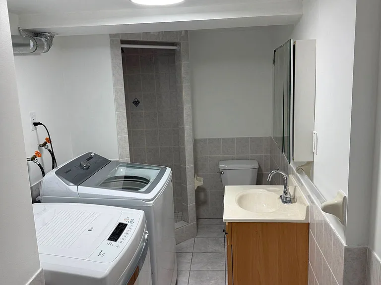 259 Tall Grass Trl #BASEMENT — Photo 3