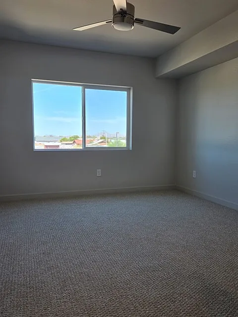 1 bed, 774 sqft, $1,250 — Photo 4