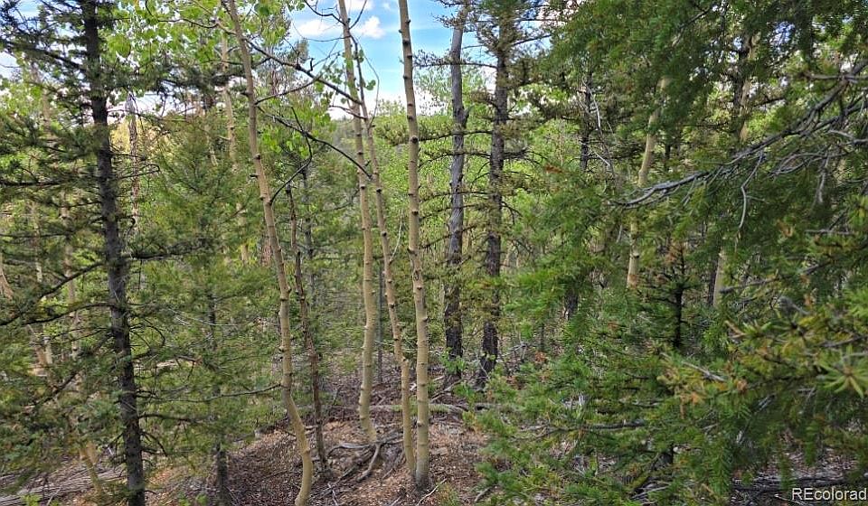 1st image of Lot 6803 Ryland Road