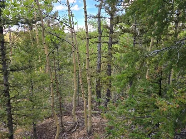 Lot 6803 Ryland Road, San Luis, CO 81152