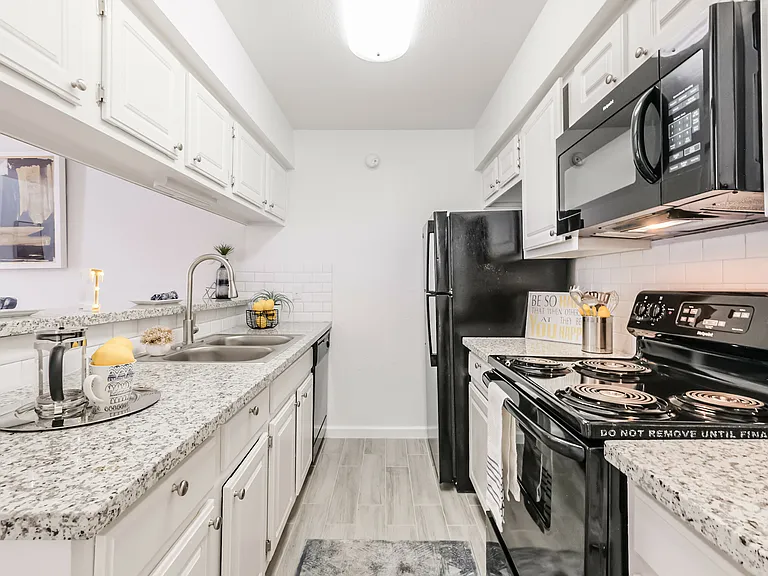 Turtle Pointe Apartments — Photo 5