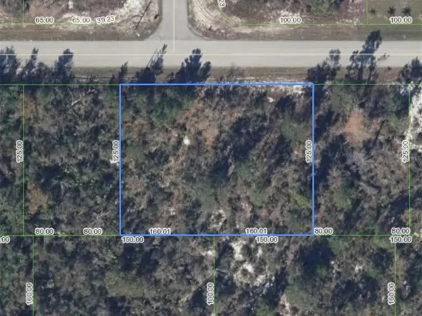 293 Lincoln Road Ne 1/2 W Lot 22, Lake Placid, FL 33852