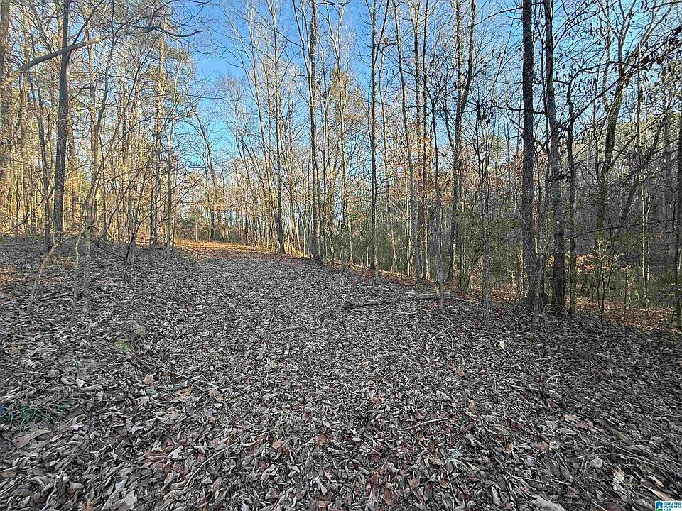 2nd image of 4115 Humber Rd #1