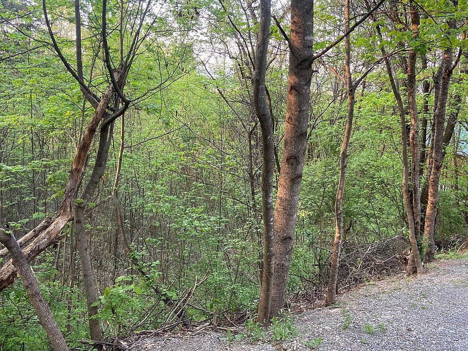 2nd image of Townview Dr