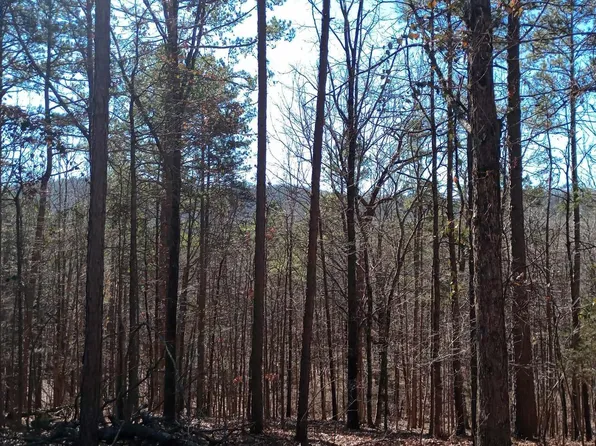 670 Polk Rd #227, Cove, AR 71937