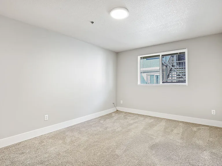 Veri 1319 — Photo 155