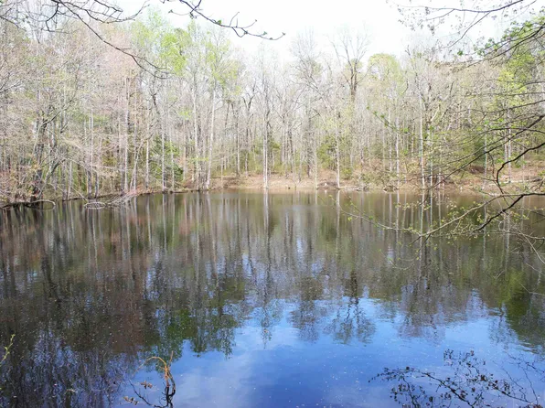 1 Stacy Springs Rd S, Quitman, AR 72131