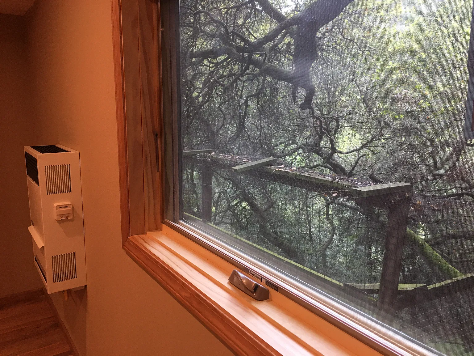 1 bed, 700 sqft, $3,450 — Photo 4