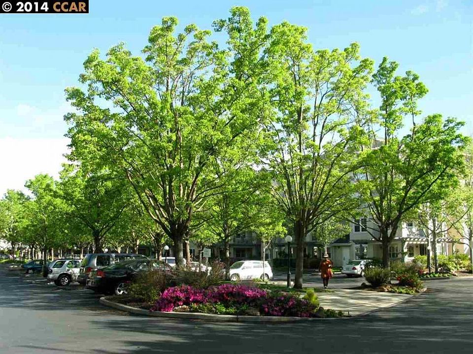 1st image of 1860 Tice Creek Dr APT 1444