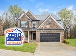 398 Panhandle Pl, Hampton, GA 30228
