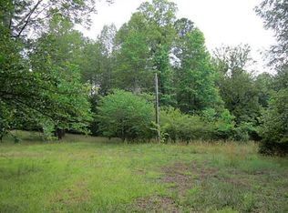 2099 Lee Peters Rd, Loganville, GA 30052