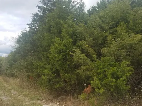 Hickory Dr, Pounding Mill, VA 24637