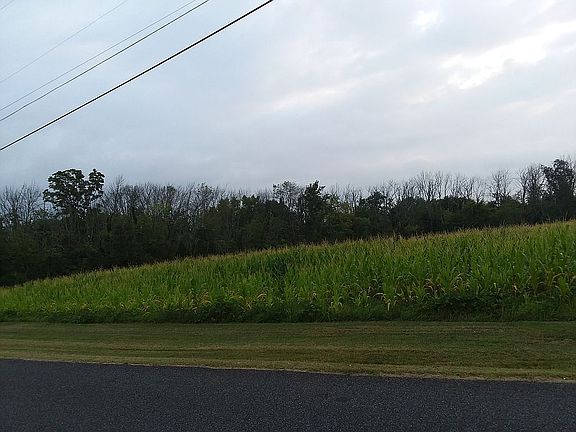 5th image of 869 Sunset Ln