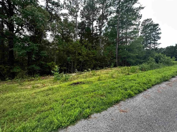 62 Green Creek Trl, Shirley, AR 72153