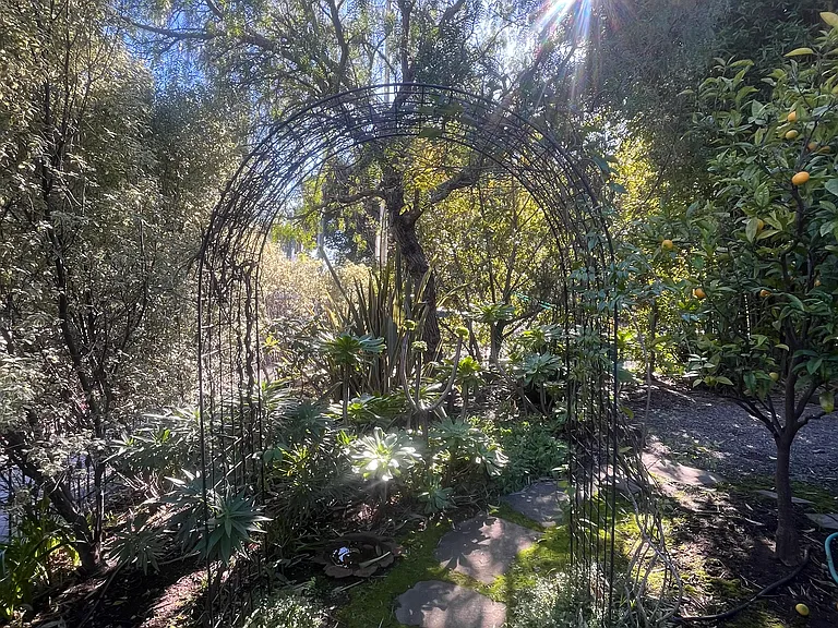 Sunlit path around the house.