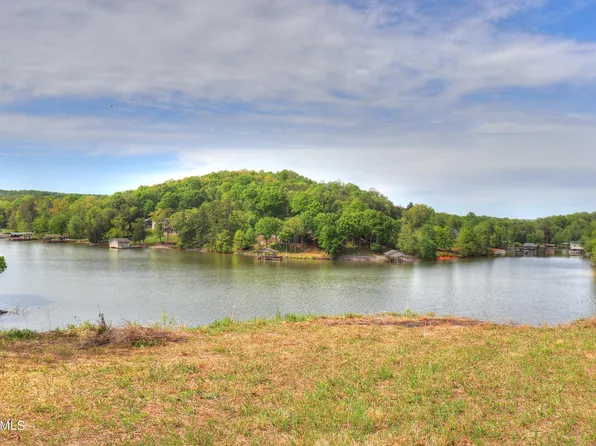 3 Nancy Point, Spring City, TN 37381