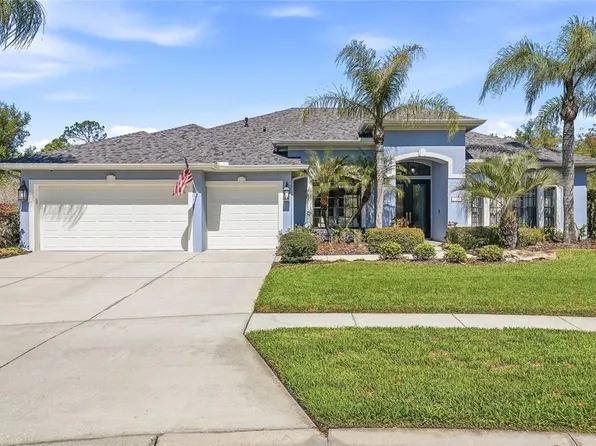 7101 Hatpin Loop, Wesley Chapel, FL 33545