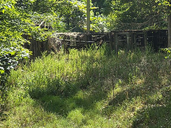 2nd image of 1318 Turkey Creek Rd