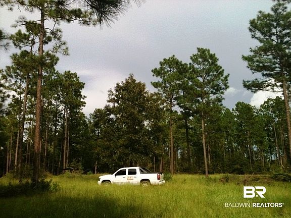 2nd image of 0 Lott Rd