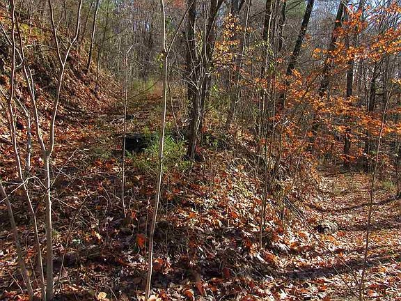 4th image of 0 Wildflower Ln Lot 0