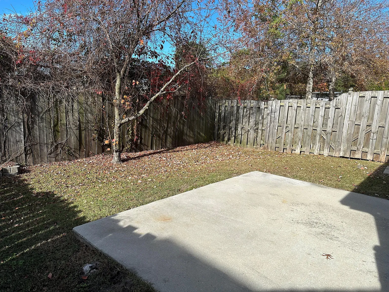 4230 Arbor Green Way - 1 — Photo 2