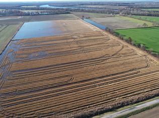 1 State Rte #3, Olive Branch, IL 62969