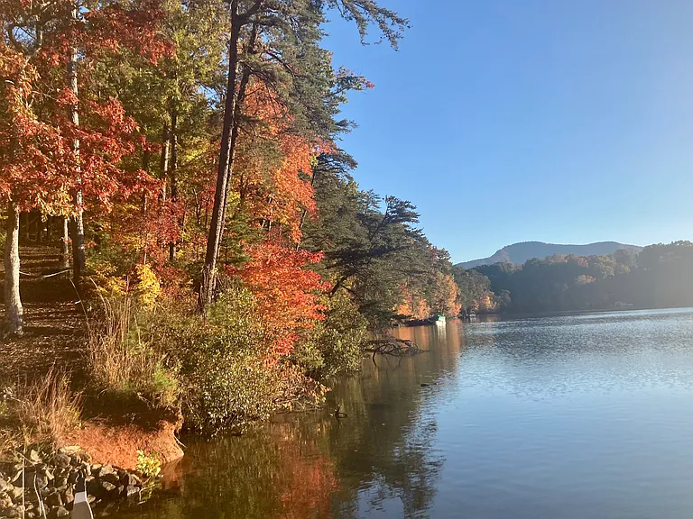 View from private dock