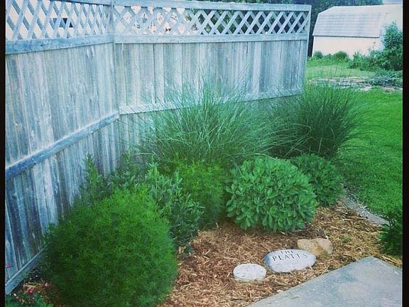 patio landscaping