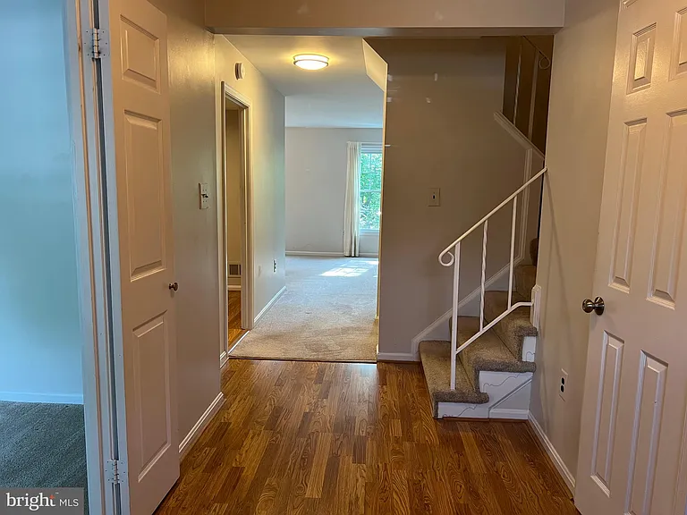 7384 Jiri Woods Ct — Photo 3