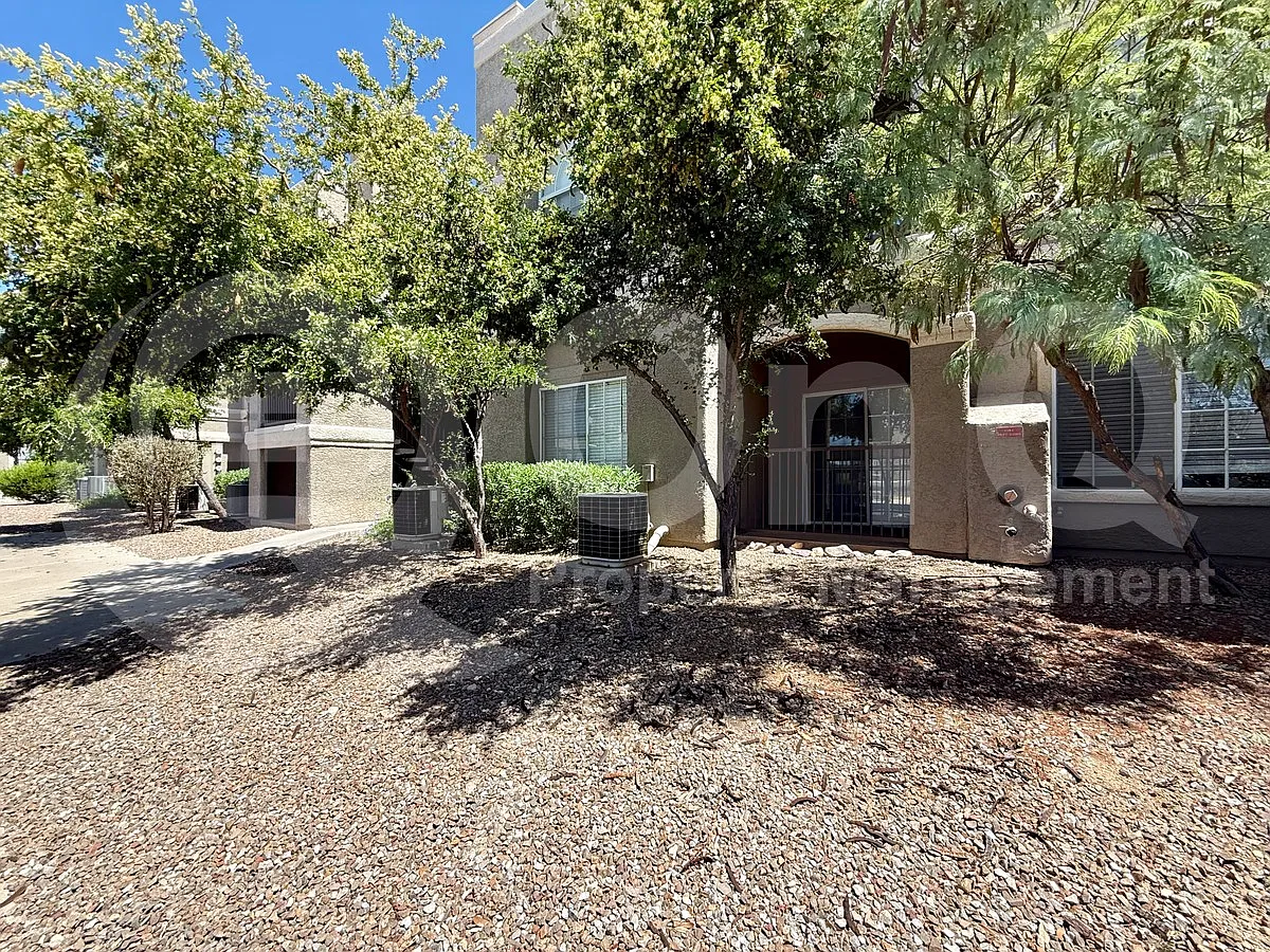 1 bed, 1.0 bath, 725 sqft, $1,249 — Photo 2