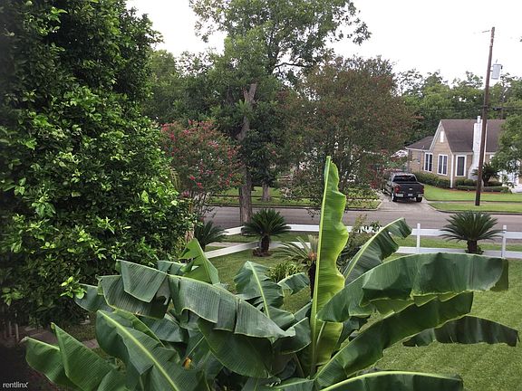 View from the Balcony