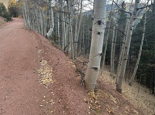 287 Horseshoe Dr, Divide, CO 80814