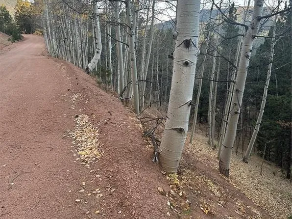 287 Horseshoe Dr, Divide, CO 80814