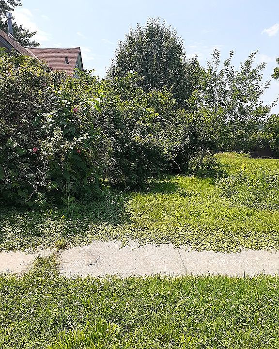 2nd image of 2934 Mercier St