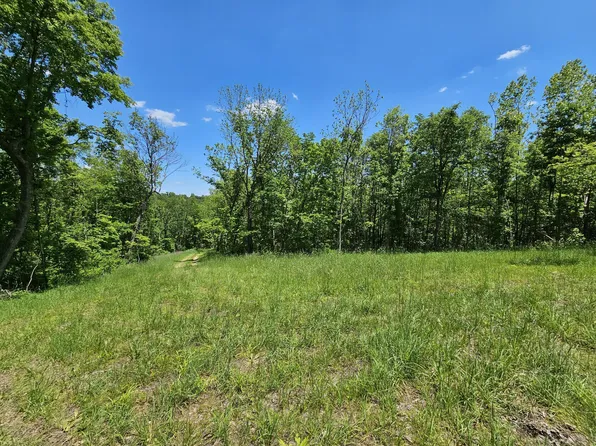 690 Town Hollow Road, Anderson, MO 64831
