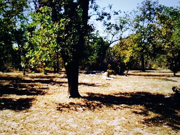 5th image of 23711 Hickory Pass