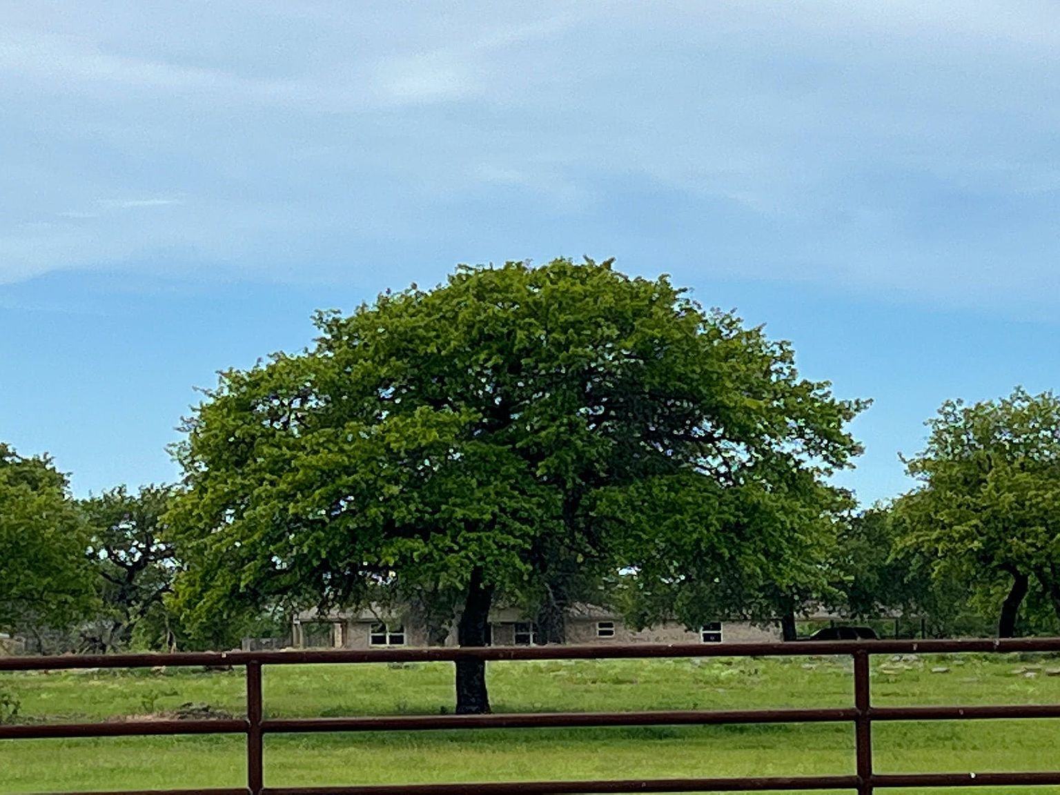 1201 N Fm 113, Weatherford, TX 76088 Zillow