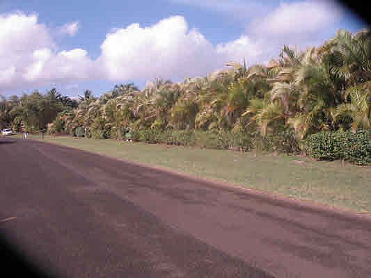 5th image of Kahili Makai St