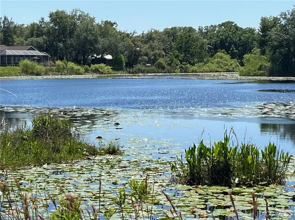 9740 E Baymeadows Dr, Inverness, FL 34450