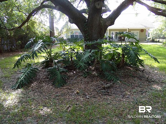 3rd image of 34 Ancient Oaks Cir