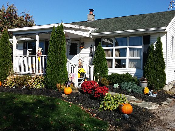 Many all season perennials 