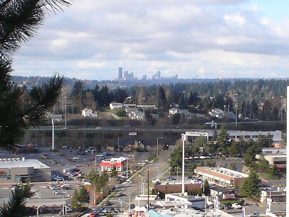 Great View