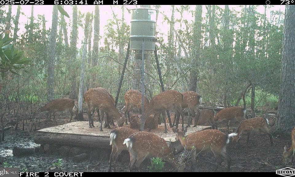 1st image of 2257 Wingate Bishops Head Rd