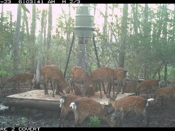 2257 Wingate Bishops Head Rd, Wingate, MD 21675