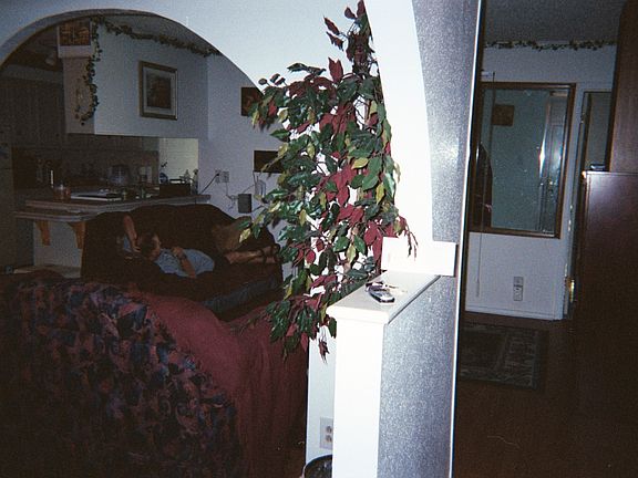 5th image of 4407 Greystone Dr